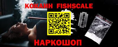 спиды Кимры