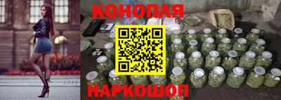 дживик Кингисепп