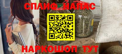 дживик Кингисепп
