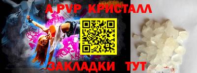 дживик Кингисепп